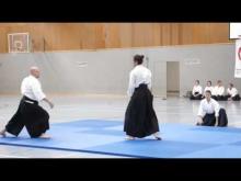 USI Wien Budo-Gala 2012