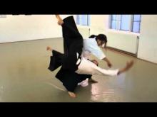 New Year Aikido Training